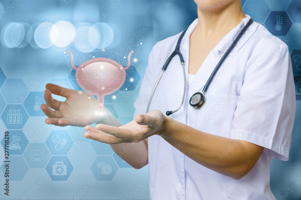 The concept of treatment of urinary system. The concept of treatment of urinary system.