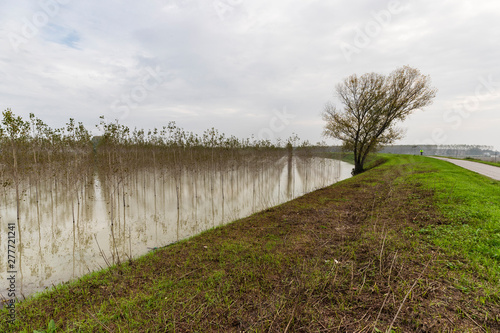 Right bank and flood bed of the river Po in Italy