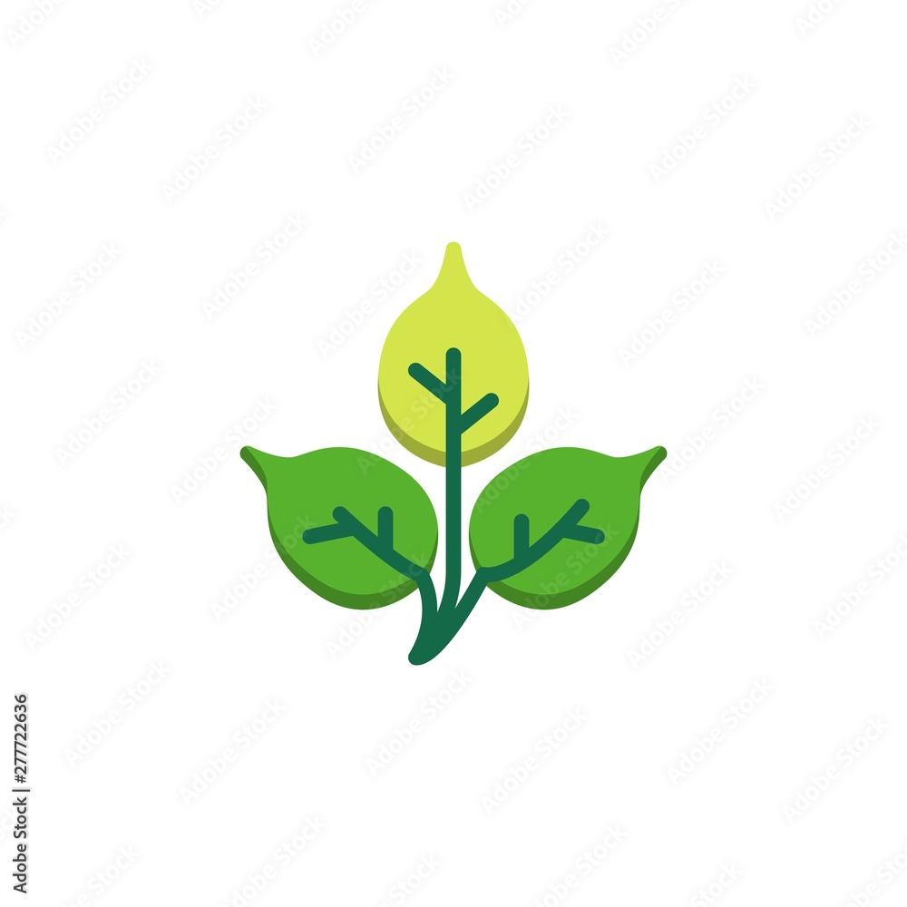 Birch tree leaf flat icon, vector sign, Plant leaves colorful pictogram isolated on white. Symbol, logo illustration. Flat style design Birch tree leaf flat icon, vector sign, Plant leaves colorful pictogram isolated on white. Symbol, logo illustration. Flat style design