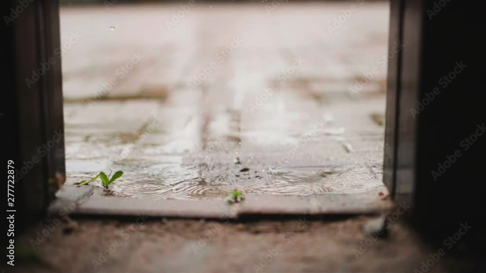 Full HD slow motion spring and raining season activity concept from beauty and freshness location with rain drop on vintage brick floor in the garden with tiny tree and soft focus background Full HD slow motion spring and raining season activity concept from beauty and freshness location with rain drop on vintage brick floor in the garden with tiny tree and soft focus background