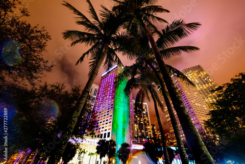 Palm trees and skyscrapers in downtown Miami at night © Gabriele Maltinti