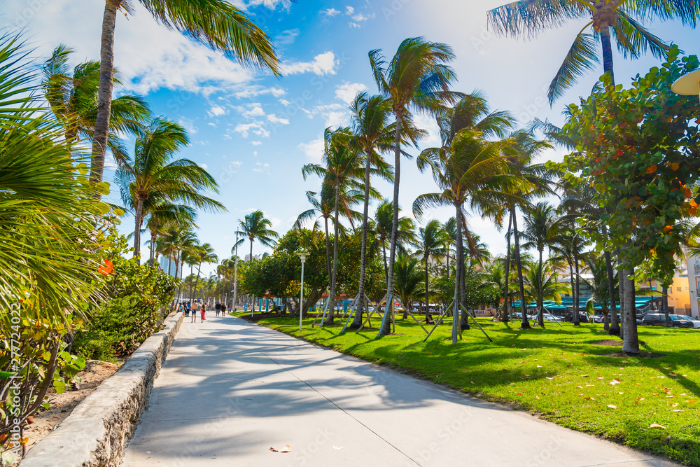 Obraz premium Pedestrian walkway in Lummus Park in Miami Beach