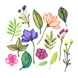 Floral elements for design. Set of flowers and leaves.