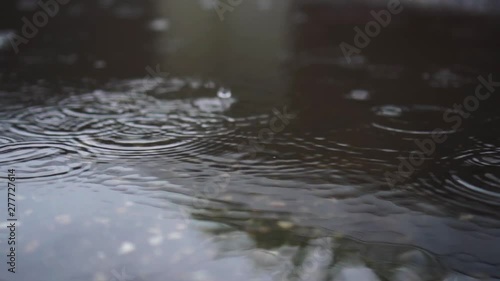 raindrops fall into a puddle in the city