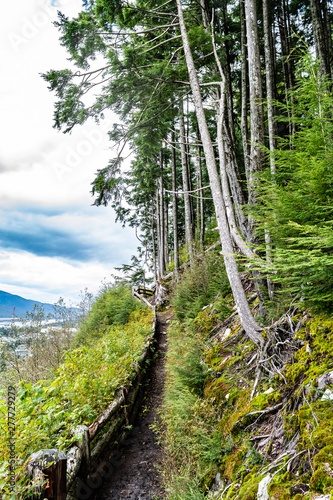 Hike/hiking trail uphill through mountain with wooden fencing for safety on the Rainbird Trail in Ketchikan, Alaska. Tall trees and lush green foliage along the scenic path; blue sky in background. photo