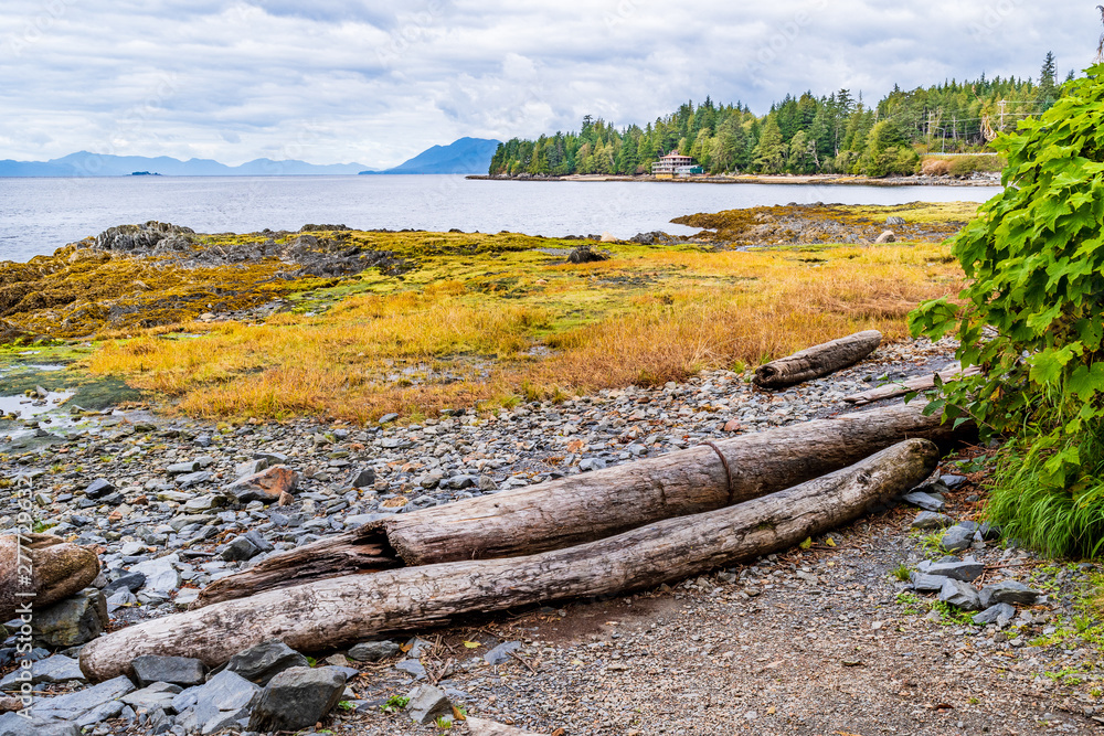 Scenic coastal landscape with driftwood, stones and trees by the beach with mountains in background. Peaceful nature scene coastline scenery in Ketchikan, Alaska in the autumn/fall season. Scenic coastal landscape with driftwood, stones and trees by the beach with mountains in background. Peaceful nature scene coastline scenery in Ketchikan, Alaska in the autumn/fall season.
