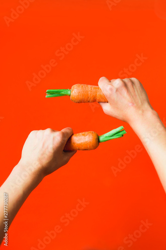 A bunch of fresh carrots in hand on red background.