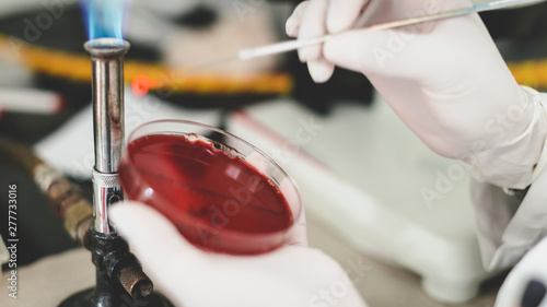 scientist in laboratory