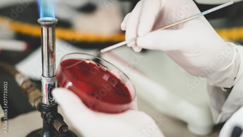 scientist in laboratory