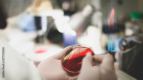 scientist in laboratory