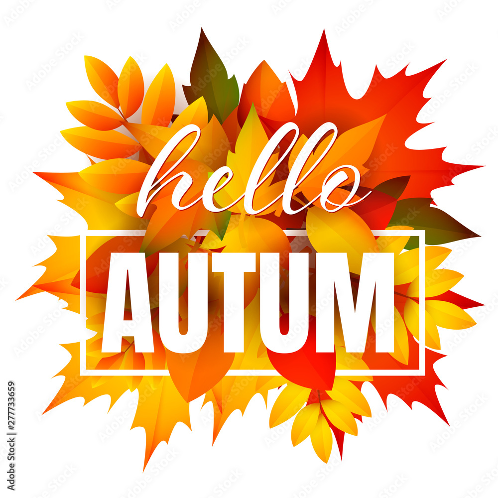 Hello autumn leaflet design with bunch of leaves. Handwritten text, word in  frame, orange, green and yellow fall foliage. Vector illustration can be  used for banners, brochures, greeting cards Stock Vector |