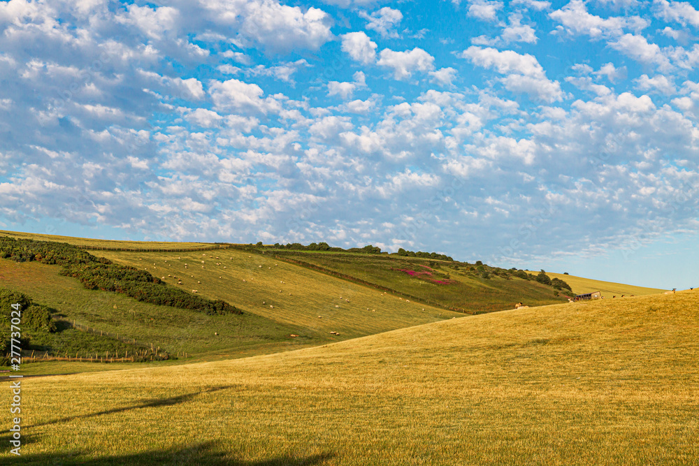 Rolling hills in the Sussex countryside on a sunny summers morning