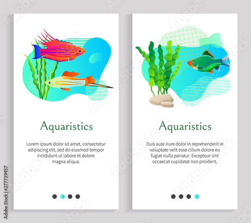 Aquaristics floating fish vector, seaweed oceanic and seawater with flora and foliage, stone and animals marine life, sealife fauna of underwaters. Website or slider app, landing page flat style