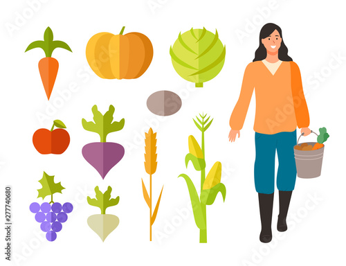 Harvesting season vector, isolated woman holding bucket with carrots. Flat style cabbage and tomato, beetroot and grapes, wheat and corn ingredients
