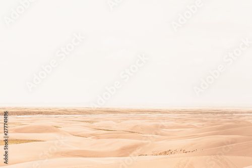 Desert in Sand Dunes 