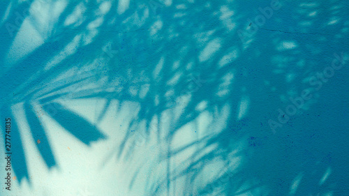 palm leaves shadow on blue cement wall