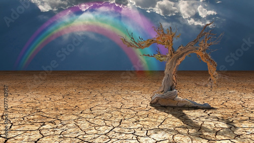 Cuadro en lienzo Arid lands