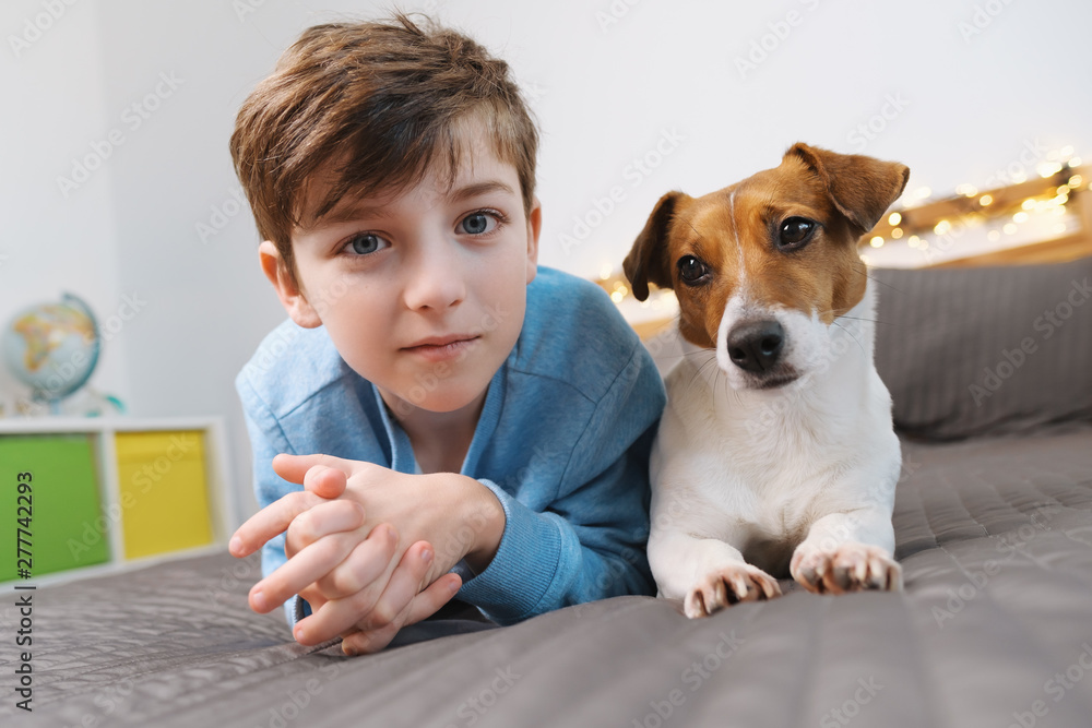 Are Jack Russells Cuddly