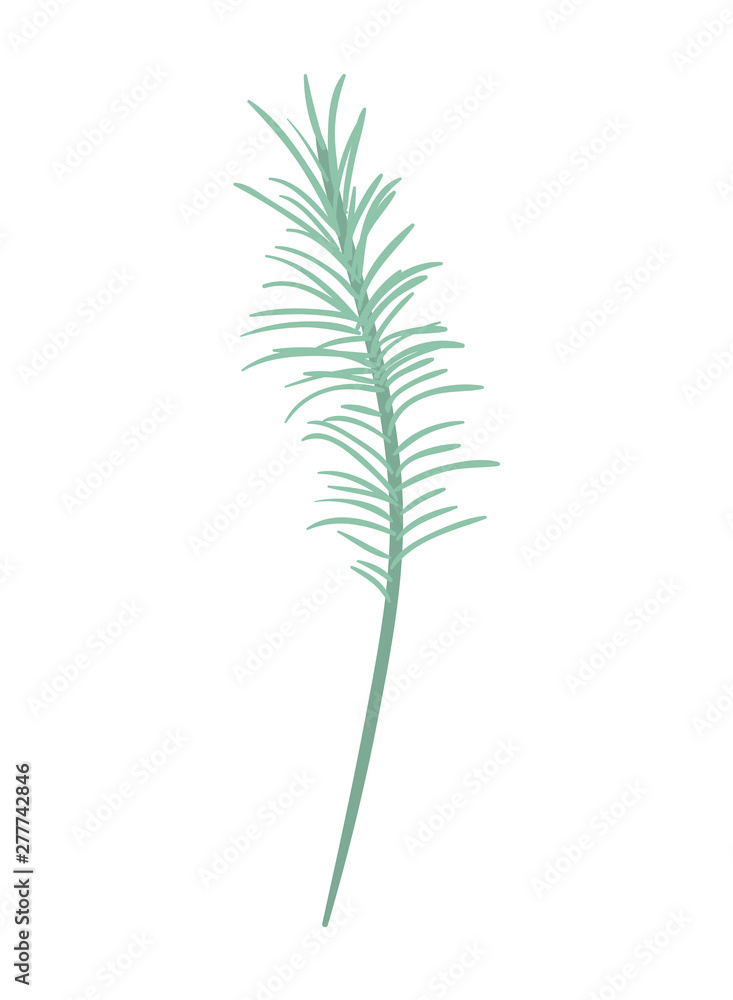 Fototapeta premium branch with leaves on white background