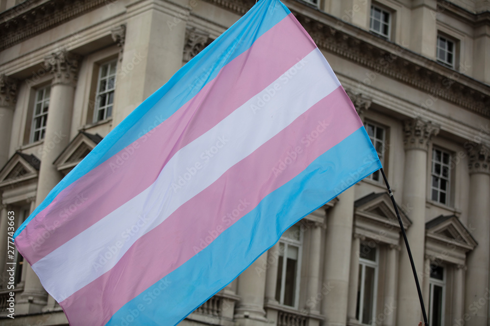 A transgender flag being waved at LGBT gay pride march