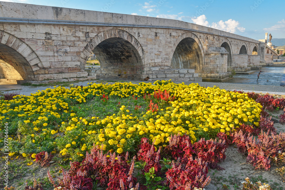 Obraz premium olorful flowers by Stone Bridge,Skopje,Macedonia.