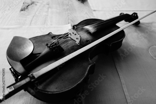 Bilde på lerret die alte violine