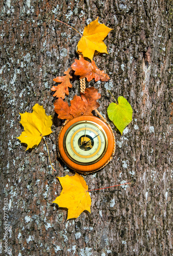 Old barometer with scale patterns indicating a good autumnal weather. Weather...