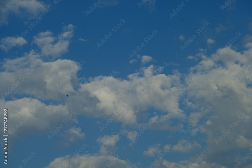 Obraz premium cloud sky blue background white nature