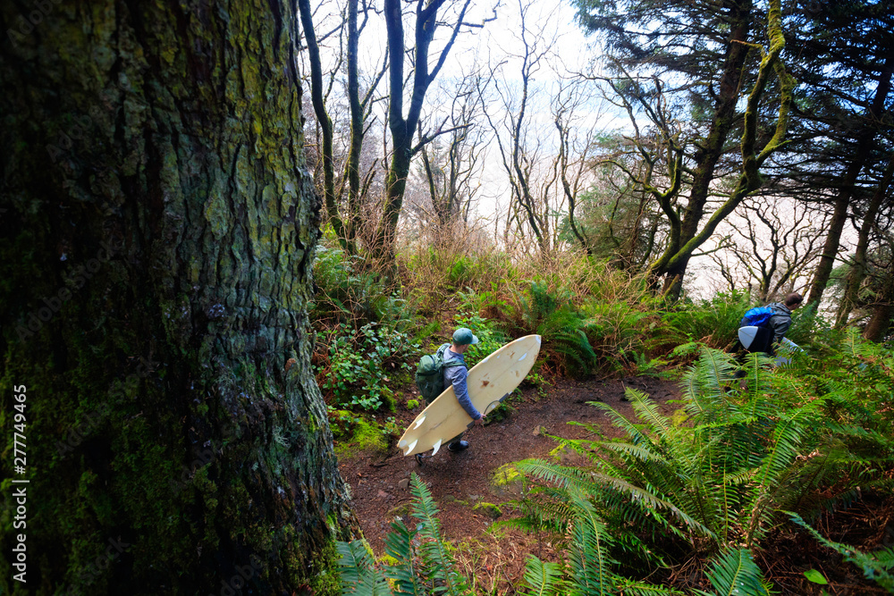 Men with surfboards walking on path in forest Men with surfboards walking on path in forest
