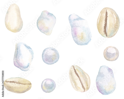 Canvas Print Watercolor hand drawn set with seashells cowrie and baroque pearls isolated on w