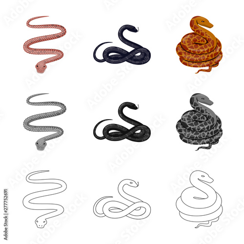 Vector design of mammal and danger symbol. Collection of mammal and medicine stock vector illustration.