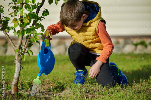  Hard-working boy in a yellow west and with blue watering-can is cultivating the tree in the garden.