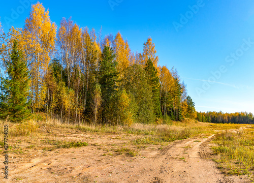 Beautiful autumn landscape on the site of a former sand quarry. © zoya54