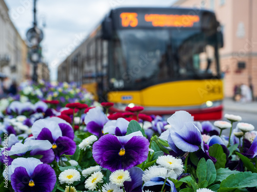 Cityscape with flowers in Warsaw, Poland.