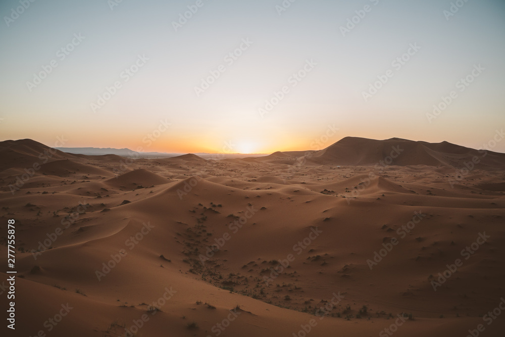 Minimalist view of camels on sand dune in desert against sunset light, Morocco Minimalist view of camels on sand dune in desert against sunset light, Morocco