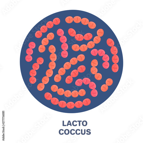 Vector probiotics in circular shape. Lactococcus. Microbiome. Medicine or dietary supplement. Brochure, flyer, label, cover, poster, banner, package, advertising, presentation. Red colors. Eps10