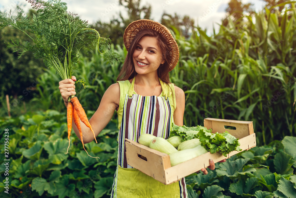 Young farmer holding carrots and wooden box filled with fresh vegetables.  Woman gathered summer crop. Gardening Stock Photo | Adobe Stock