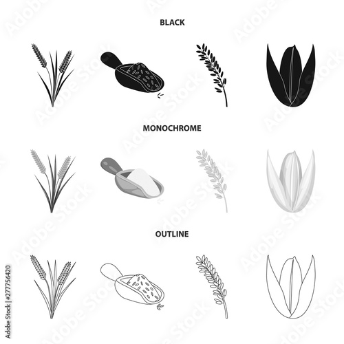 Vector design of crop and ecological icon. Collection of crop and cooking stock vector illustration.