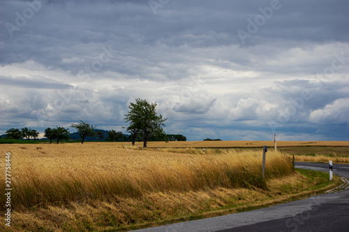 bend in a road with ripe wheat field in front of dramatic sky with storm clouds