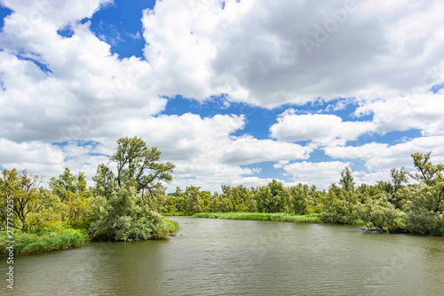 One of the many water courses of the Biesbosch National Park under a beautiful blue sky with white clouds  Netherlands