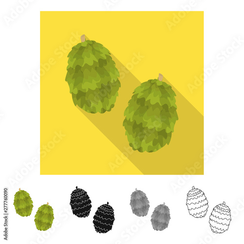 Vector illustration of humulus and plant logo. Collection of humulus and cone stock symbol for web.