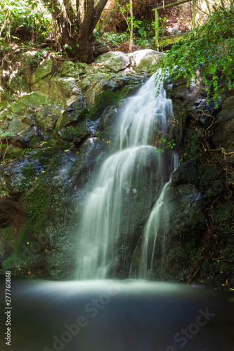 Fototapeta Naklejka Na Ścianę i Meble -  Waterfall at Pohatu Marine Reserve and Banks Track, South Island, New Zealand, South Island, New Zealand