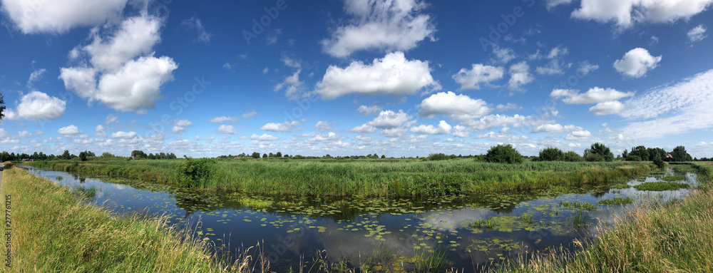 Canal with seeblatt in Friesland