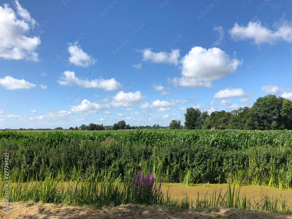 Farmland in Friesland