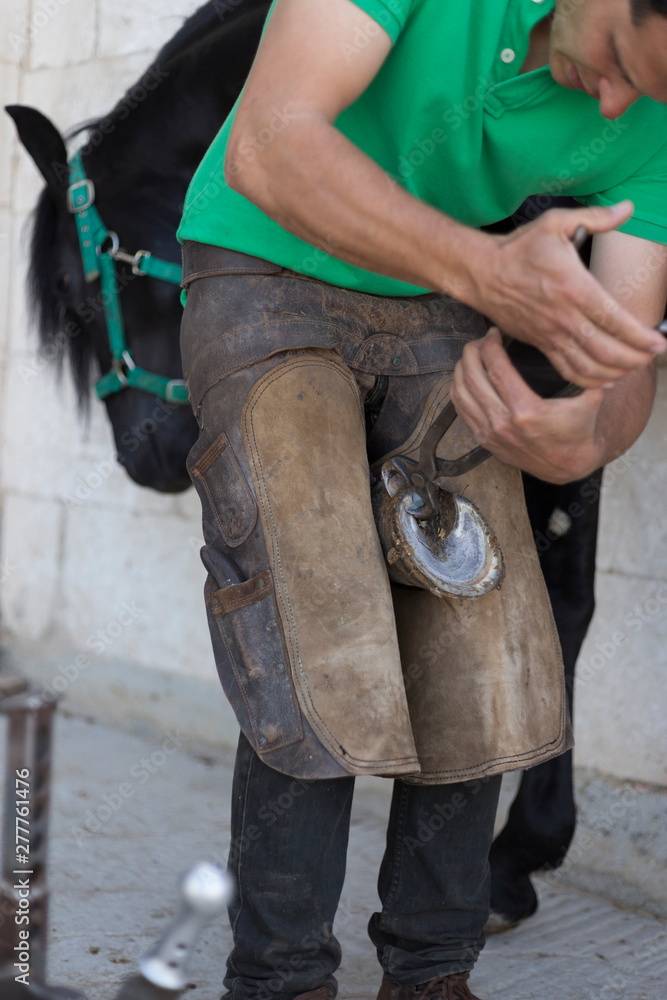 Farrier bending down horse shoe Farrier bending down horse shoe