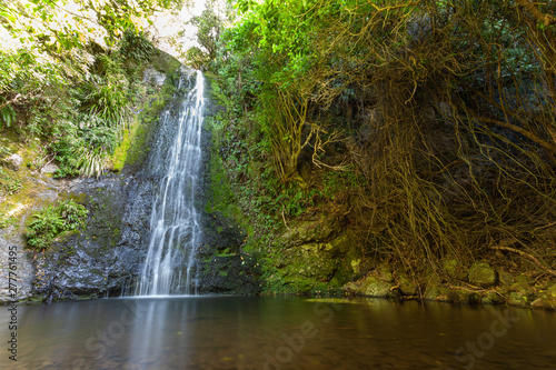 Waterfall at Pohatu Marine Reserve and Banks Track  South Island  New Zealand  South Island  New Zealand