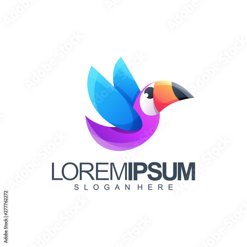 bird logo design vector illustration