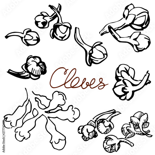 The cloves hand drawn graphics elements black and white