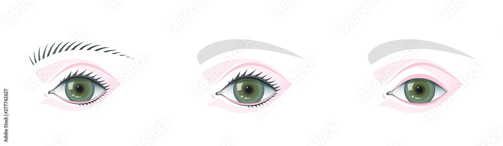 Eye and brow template for studying and teaching makeup technology. Eye and brow template for studying and teaching makeup technology.