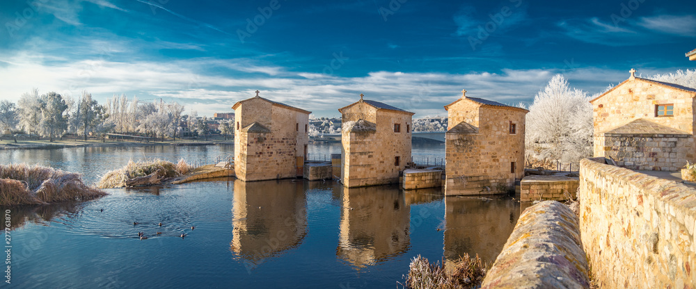 vista de la ciudad de Zamora desde el río Duero España - obrazy, fototapety, plakaty 